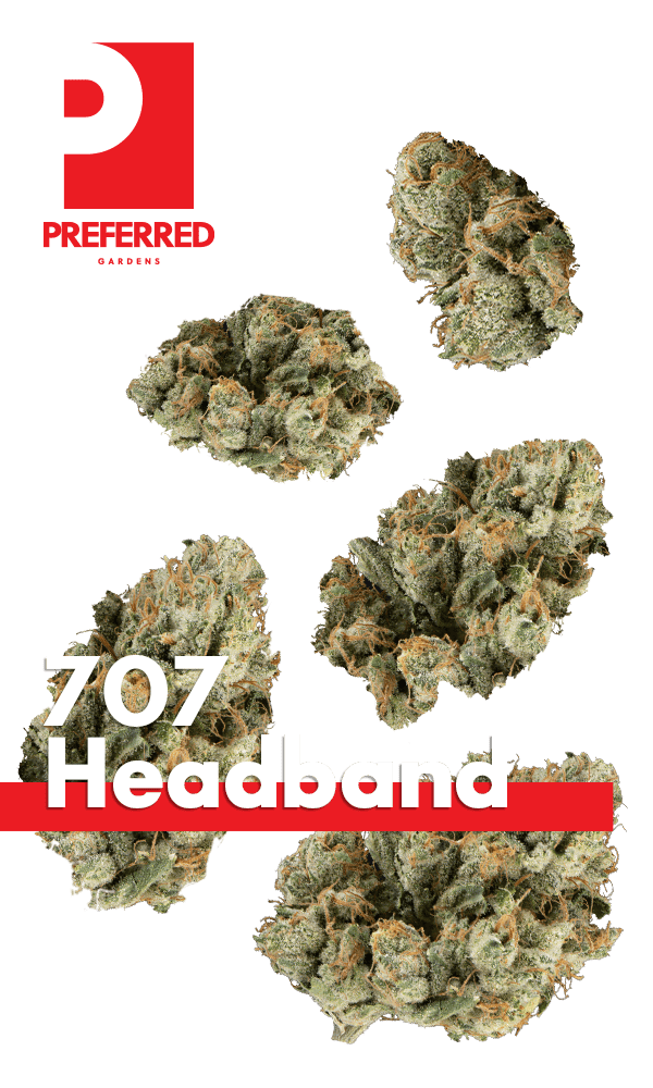 707 Headband Juniors