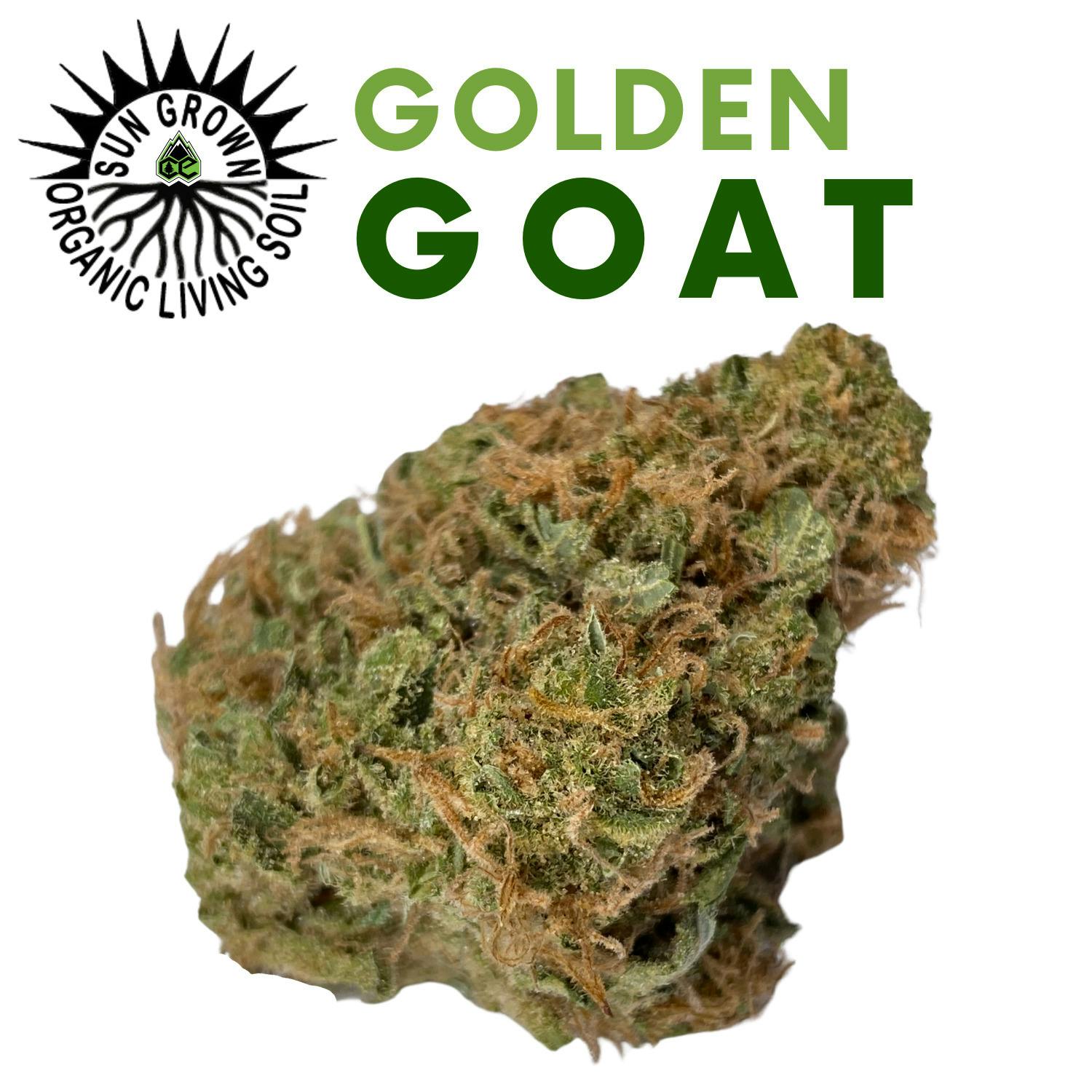 Golden Goat cannabis product