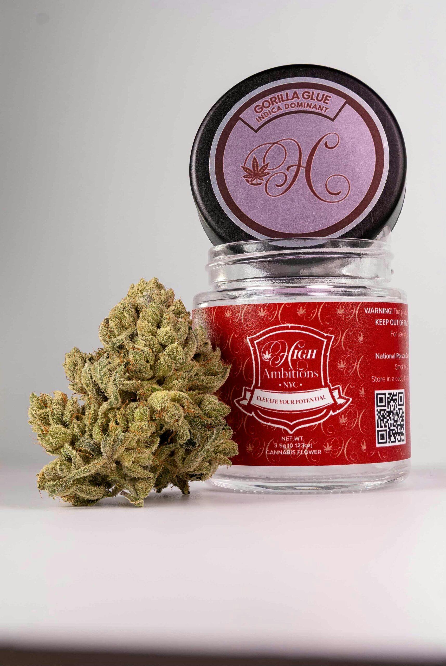 High Ambitions Gorilla Glue