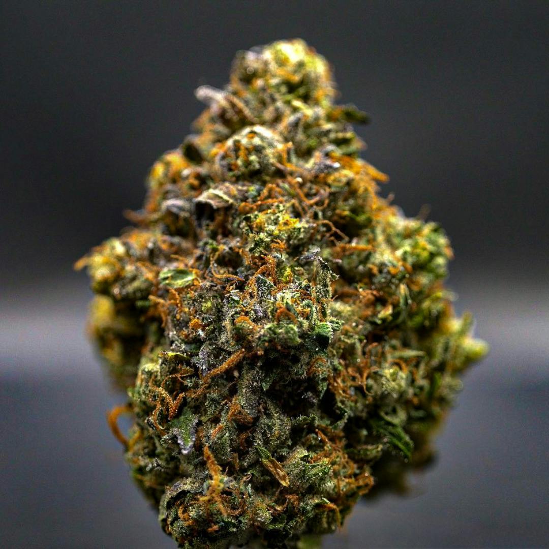 Milkweed Sour Sherbanger