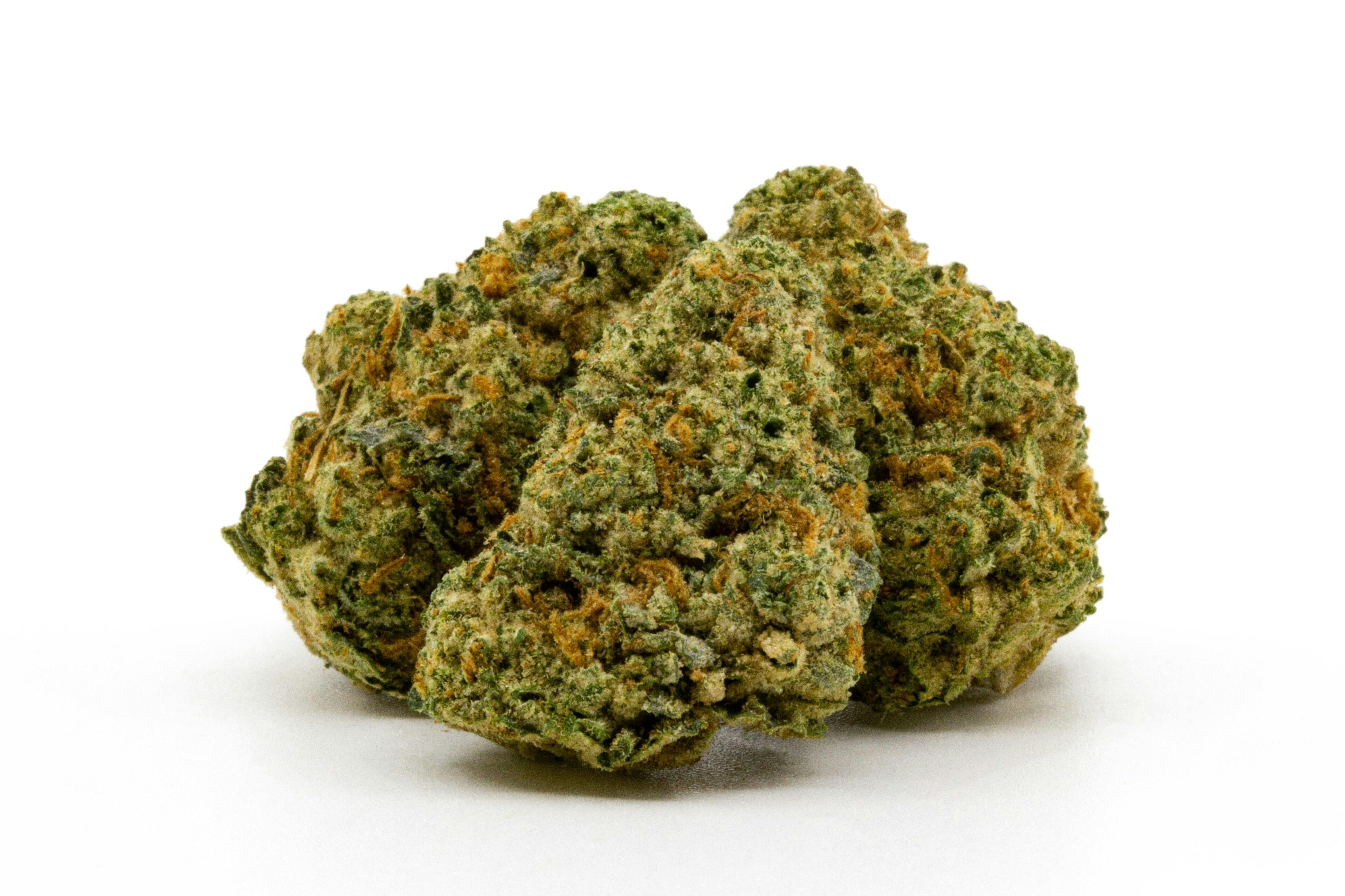 Watermelon Skittlez - 14g - Hammon Tree - 28.91%