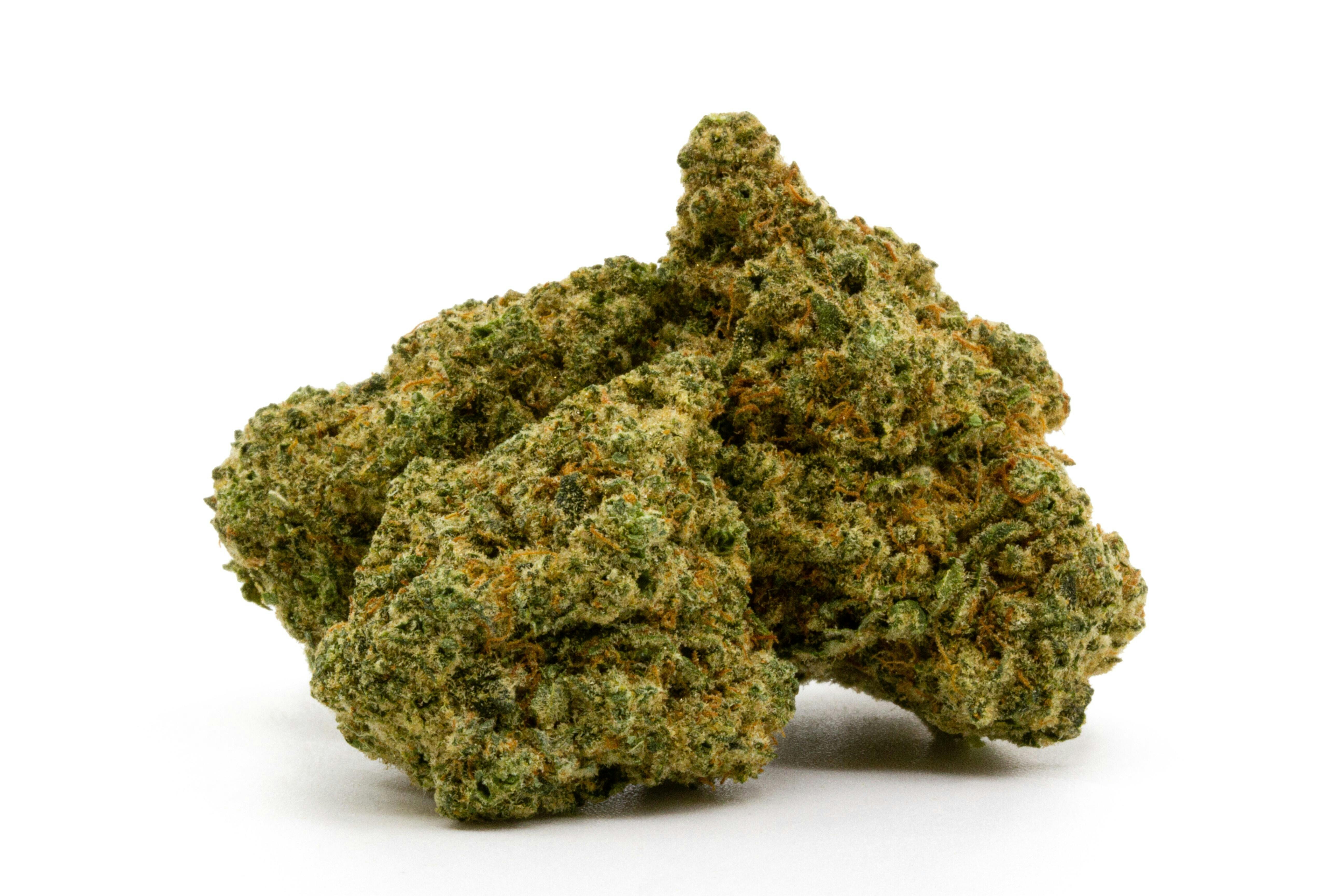 Freshy Fine - 8th - Sun Cake - 27.00%