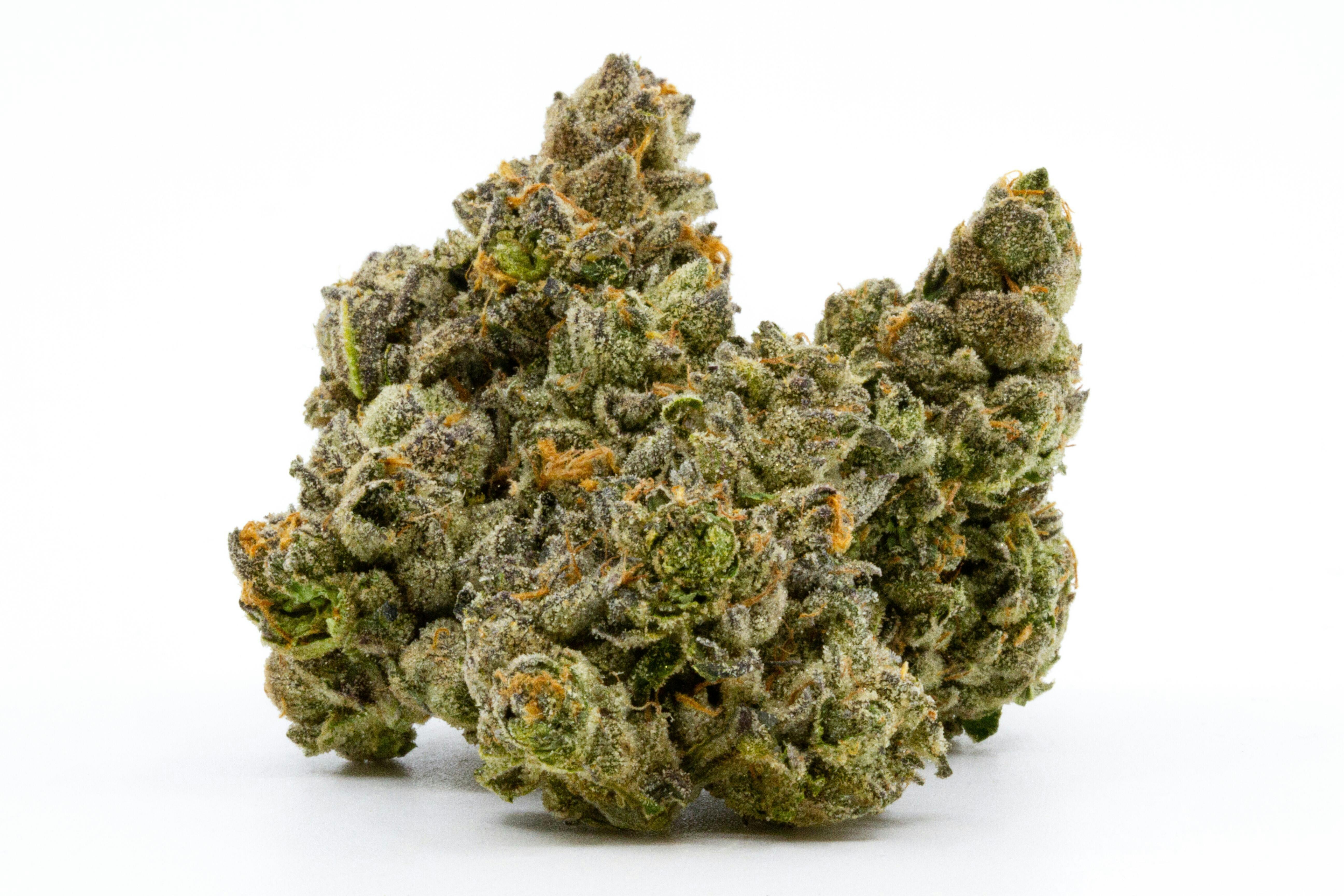 Apples & Bananas - 8th - Dragonfly - 22.94%