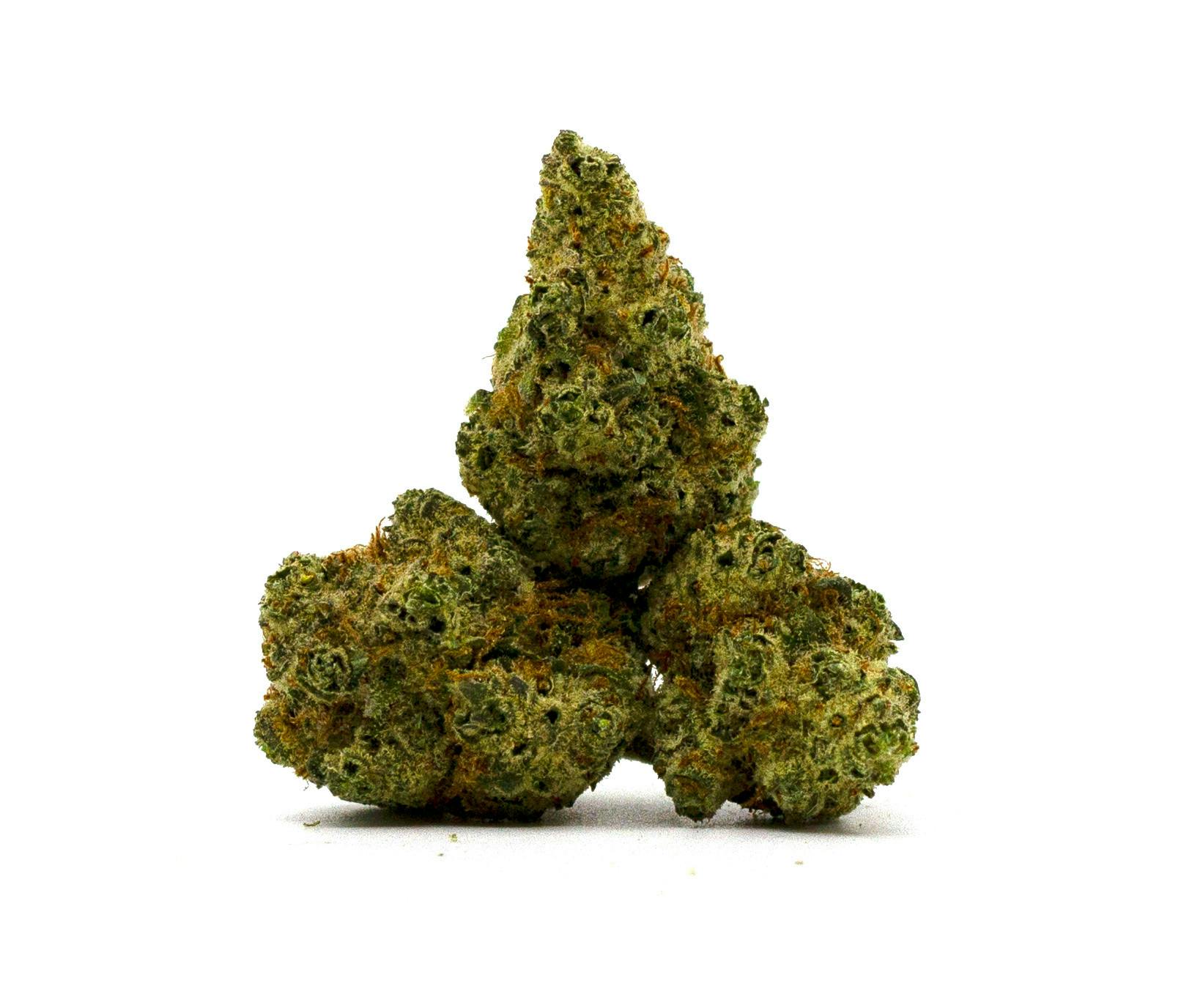 Mango Mintality - 1g - MJ Verdant - 30.40%