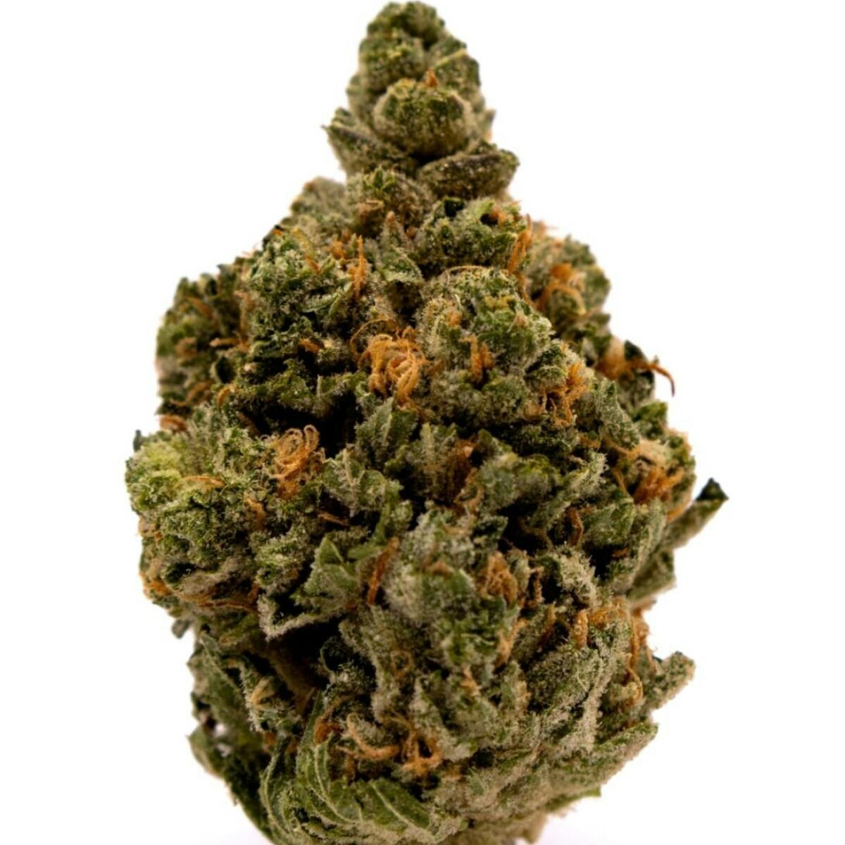3.5G CANTALOUPE HAZE
