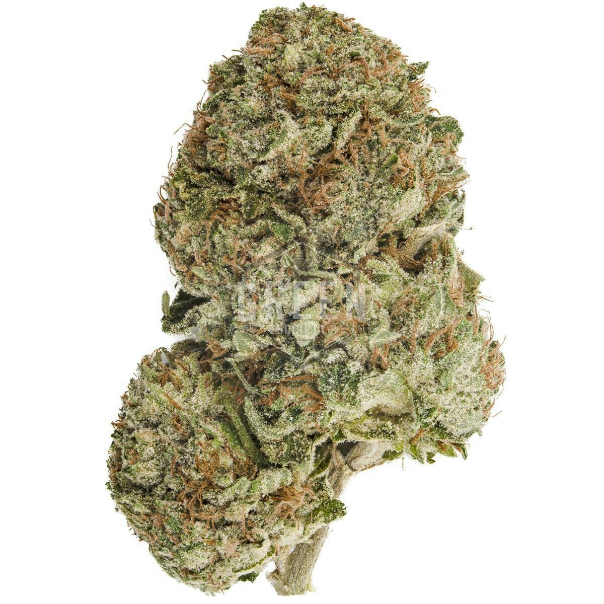 Grease Monkey