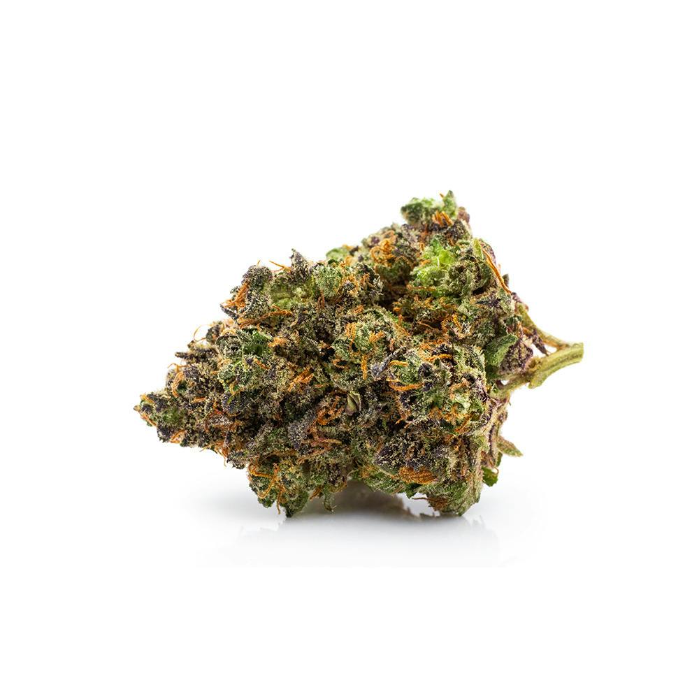GDF: Flower | Lemon Sportiff