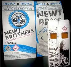 Newt Brothers | 1g Disposable | MED - Dragon Fruit (I)
