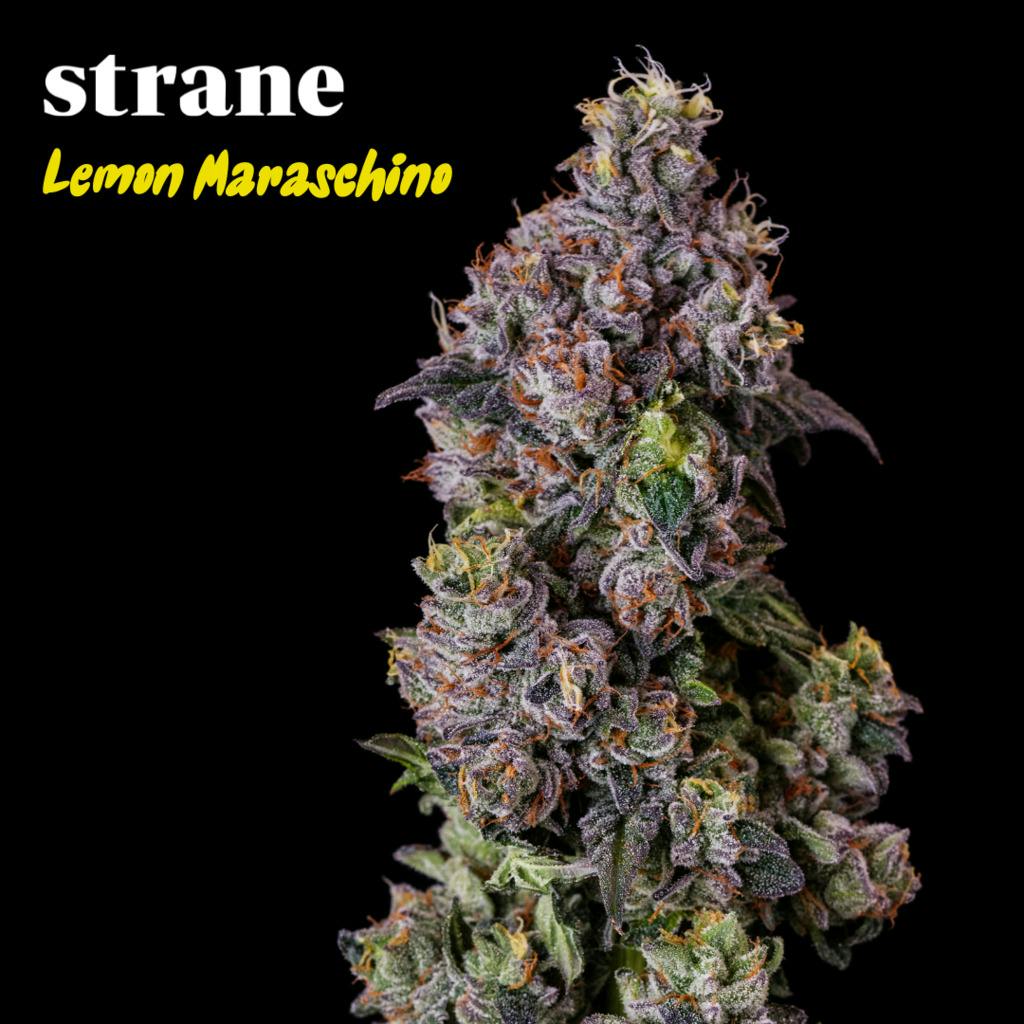 Strane Reserve Lemon Maraschino 3.5g