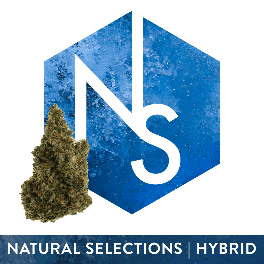 Natural Selections Zsunami #22 28g