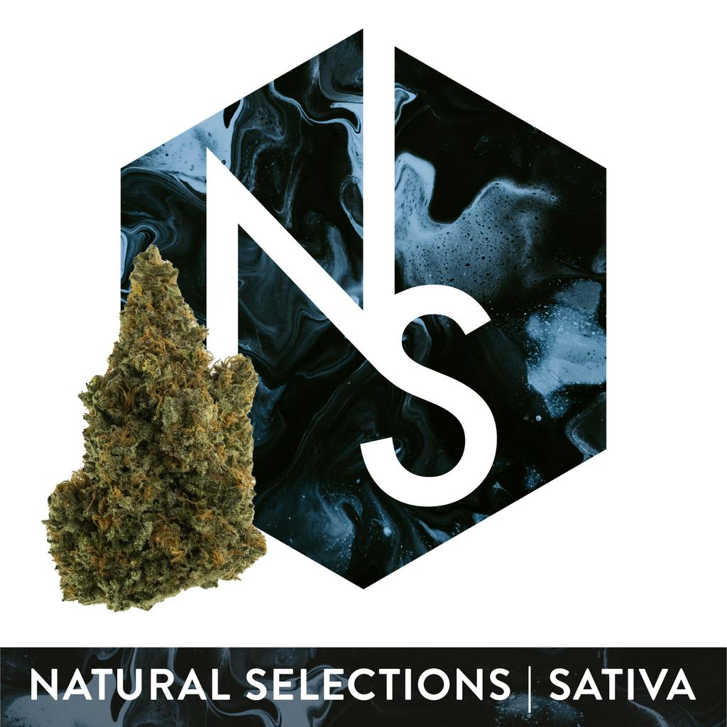Natural Selections Wizard Spray #1 14g
