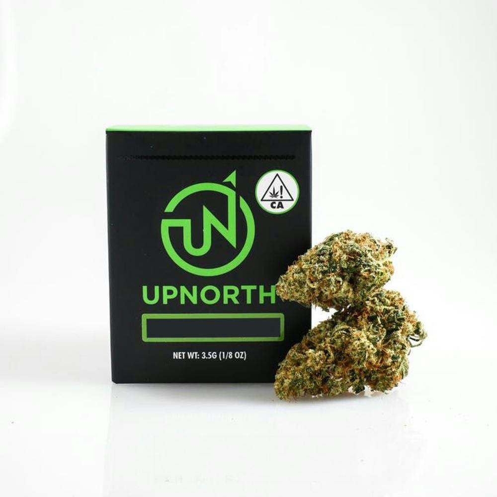 UPNORTH Chocolate Malawi 1/8