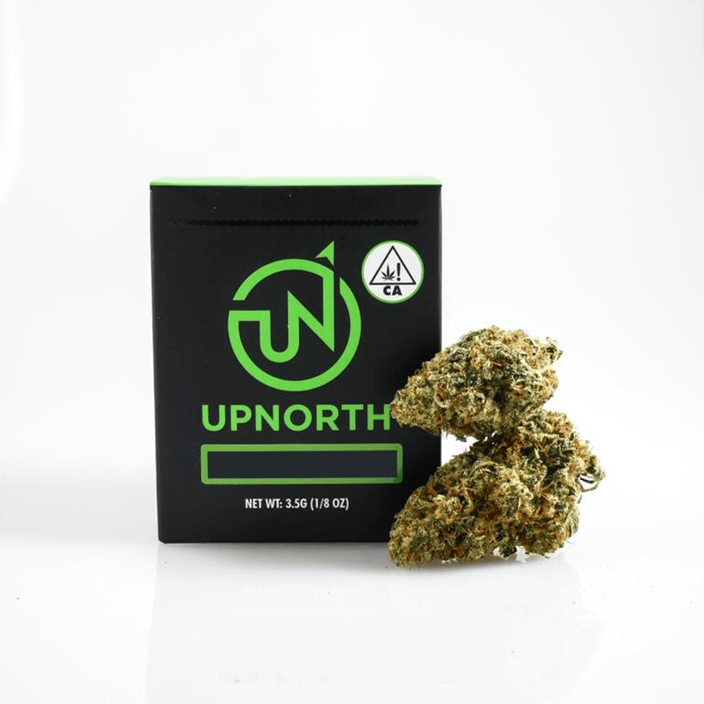 UPNORTH NF-1 1/8