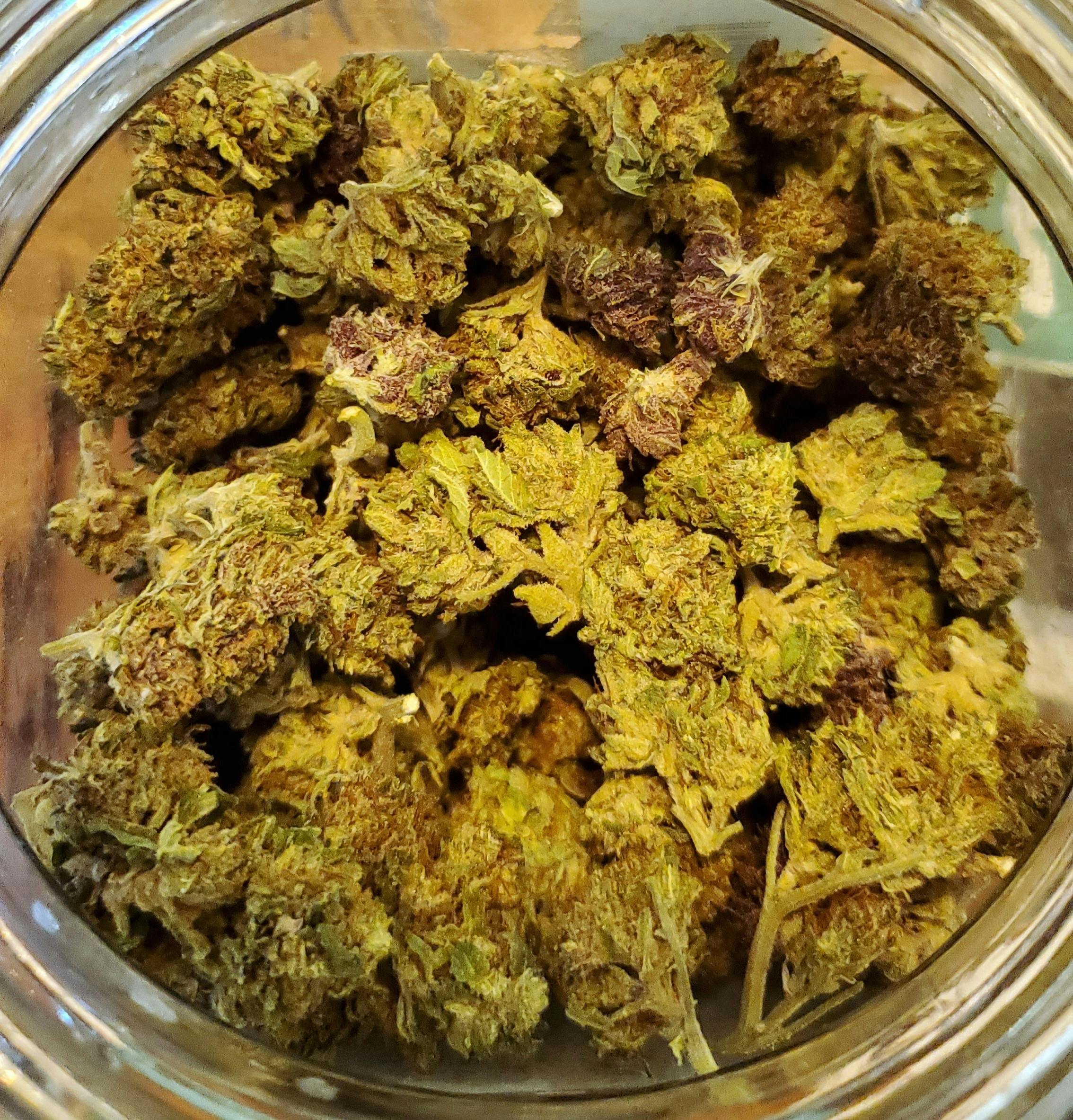Jesus OG: Jesus OG