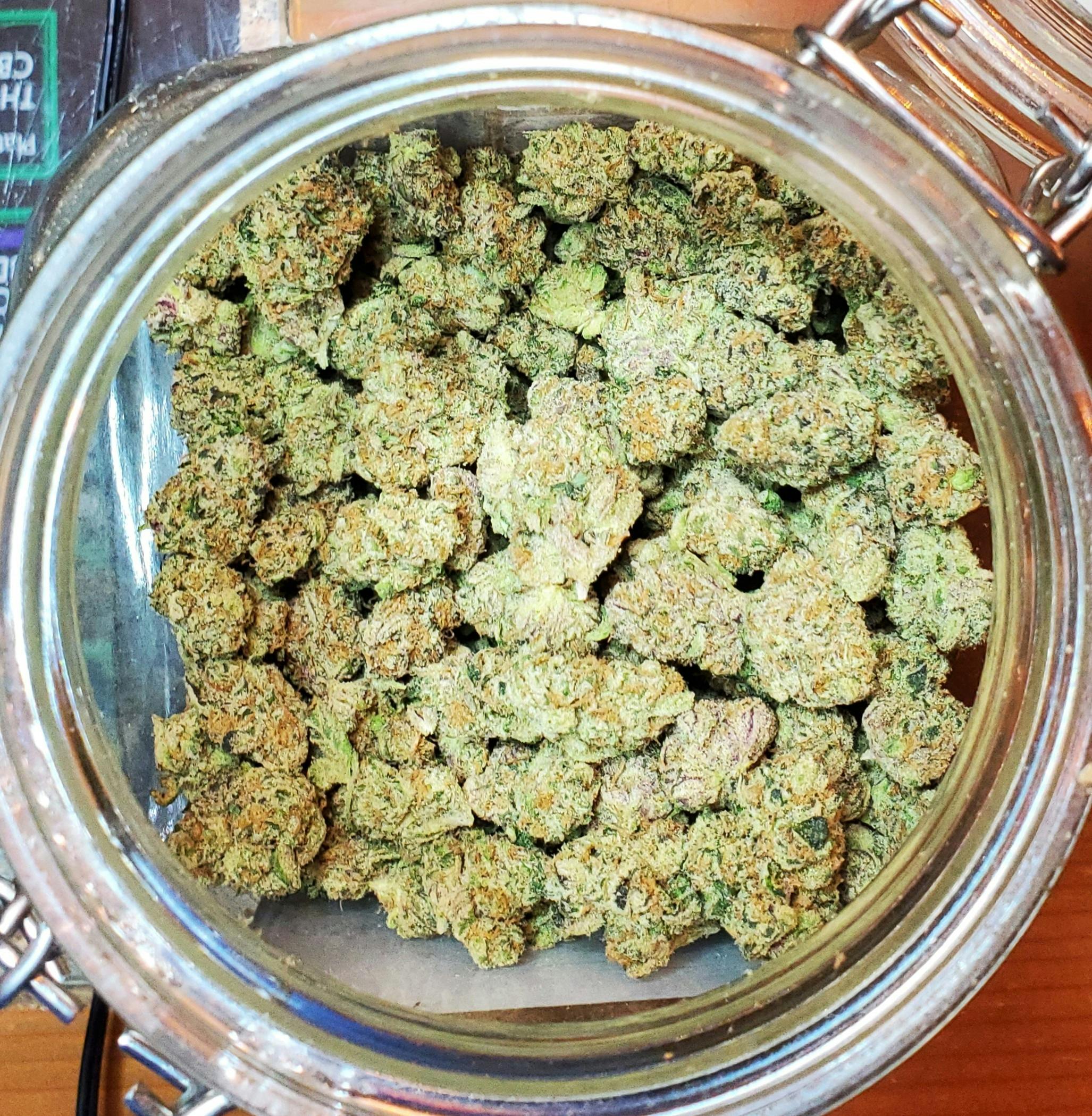 Zombie Breath