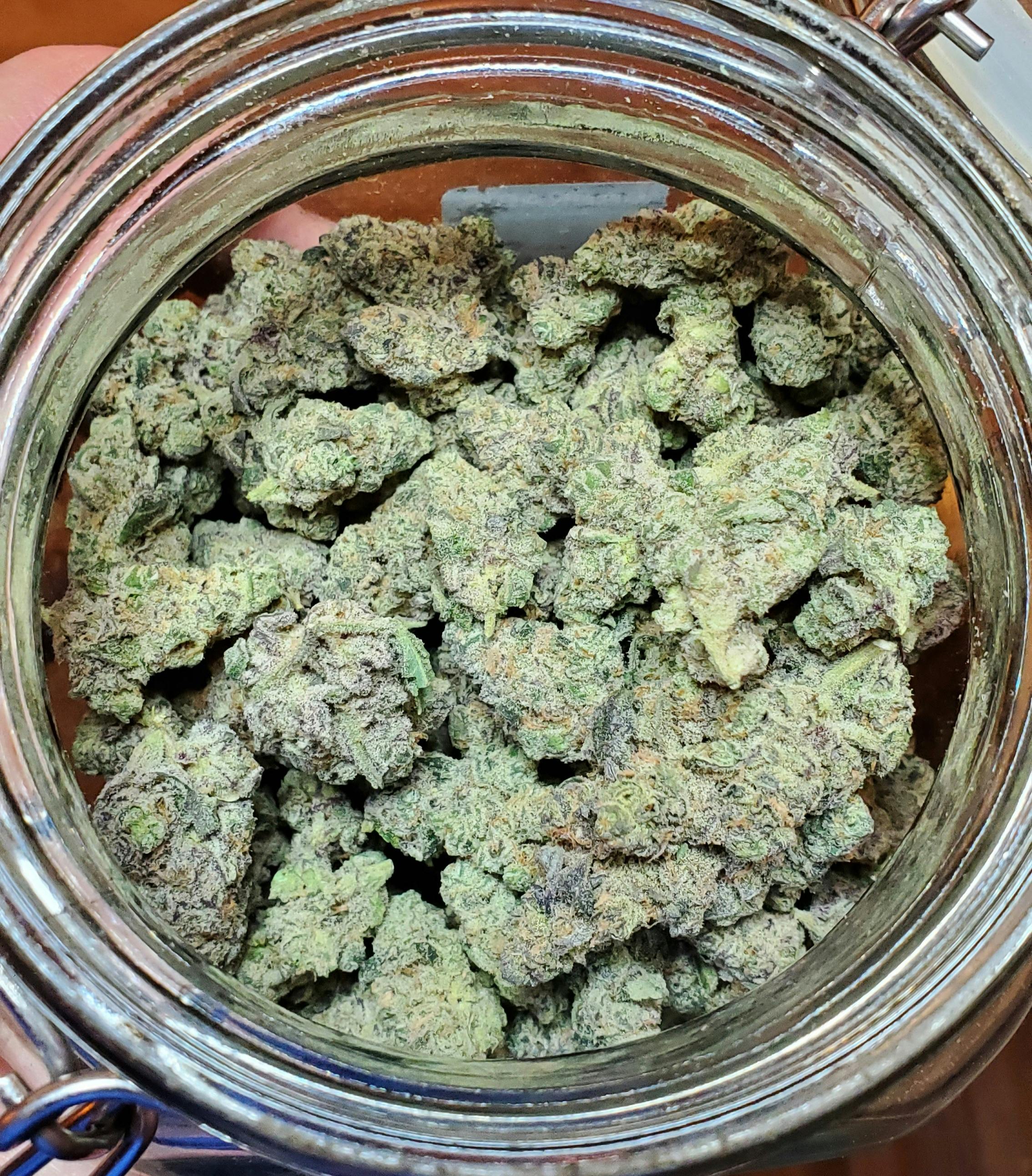 Silver Reign
