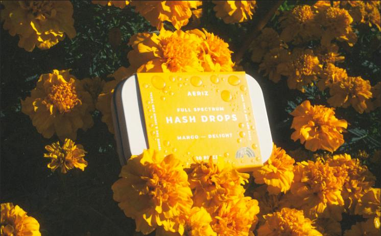 Mango Drops Jenny Kush