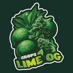 LIME OG (14G)