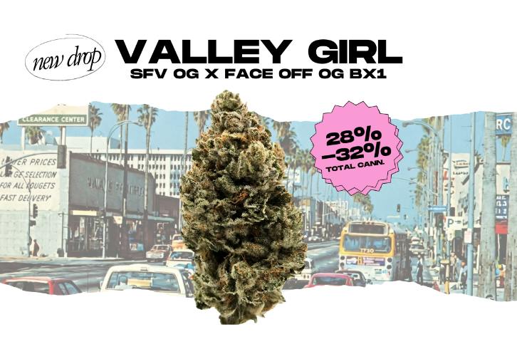 VALLEY GIRL