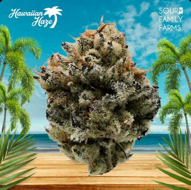 HAWAIIAN HAZE