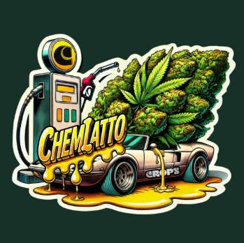 CHEMLATTO (7G)