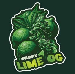 Lime Og