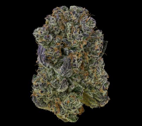 BLUEBERRY SUGAR