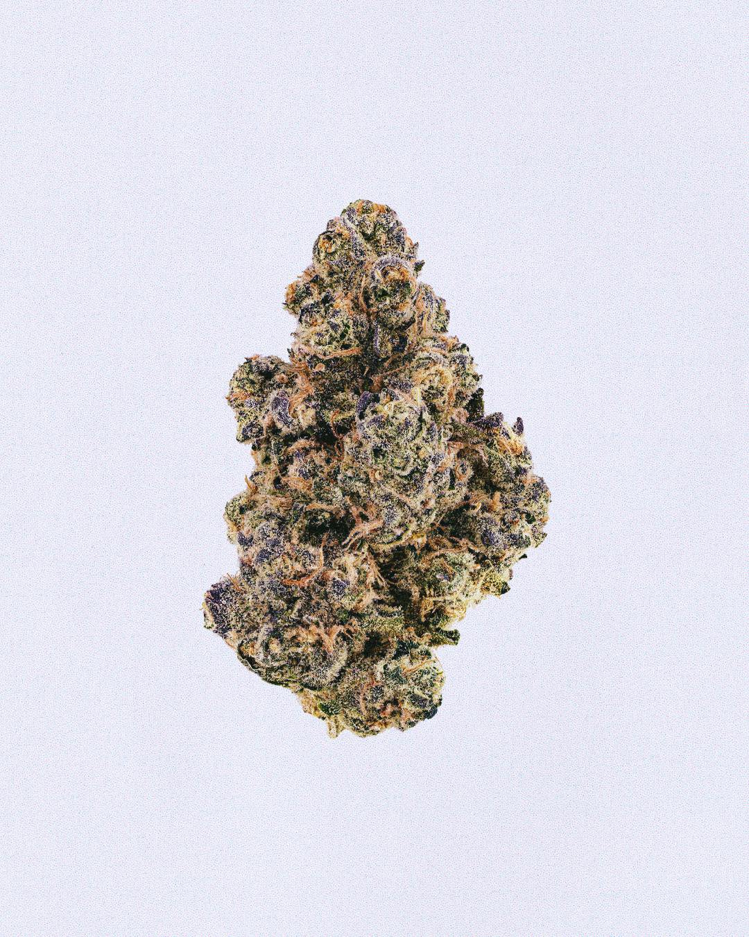 SLURRICANE (14G)