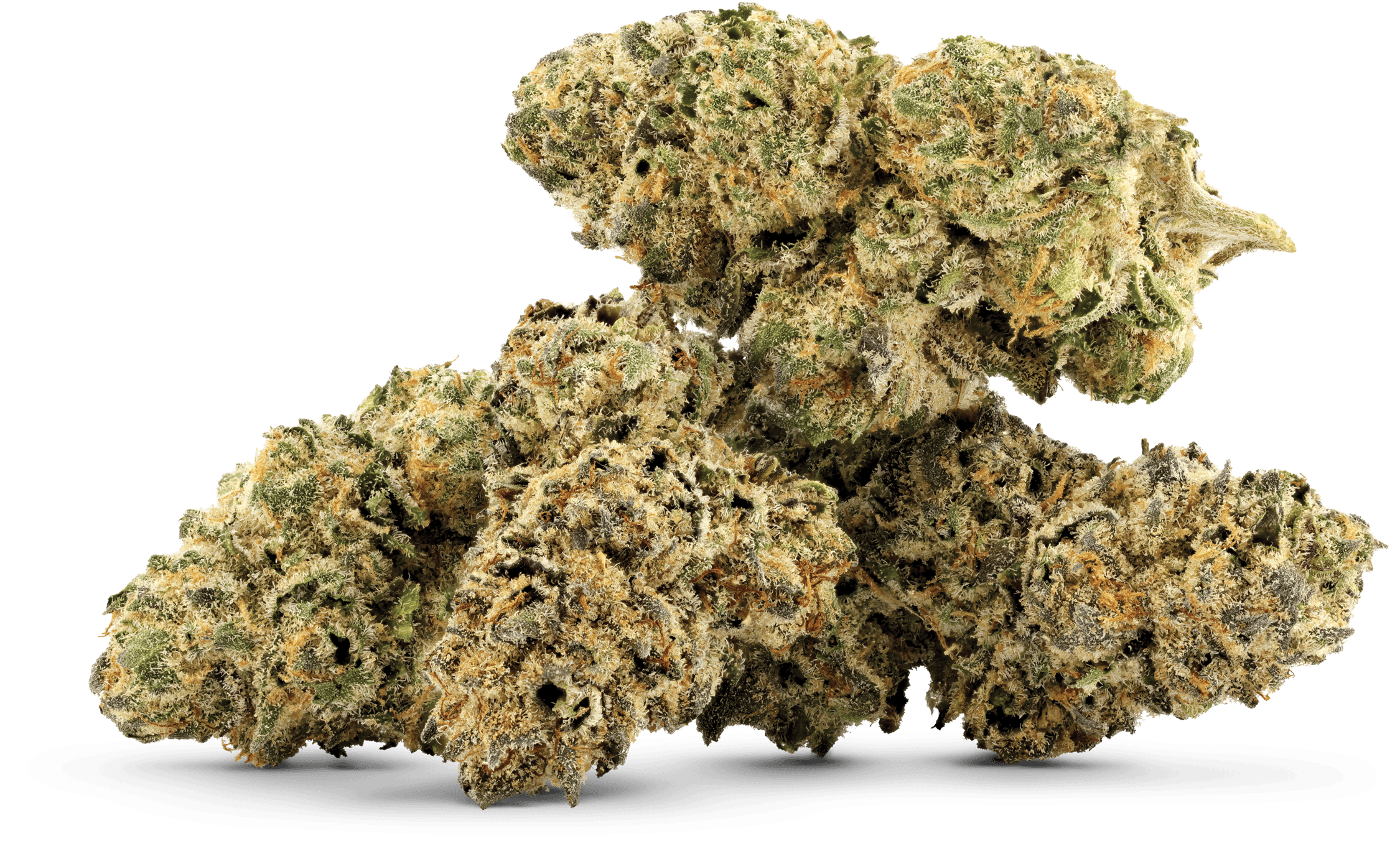 CHERRY POP TARTZ