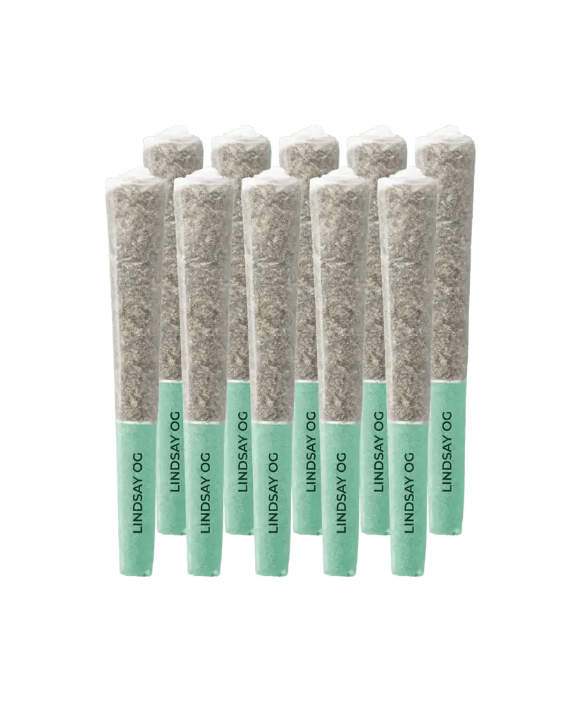 LINDSAY OG