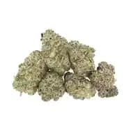 BLUEBERRY MARKER SMALLS OTB
