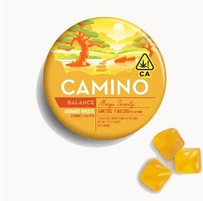 CAMINO — Mango Serenity