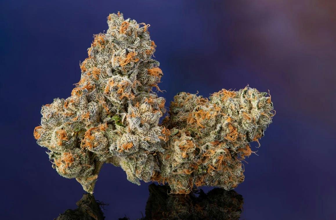 Fig Farms - Krypto Chronic 3.5g - Eighth Jar
