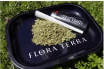 Flora Terra - P-85 7g Ready to Roll