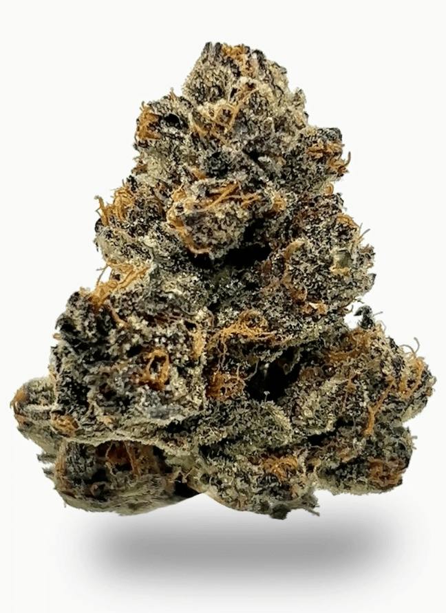 Wave Rider - Tres Leches 7g