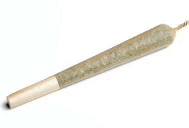 Flora Terra - River Daze 1g