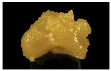 Globs - Queen's Cookies Live Resin 1g
