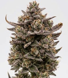 Moon Valley - Choco Runtz 3.5g