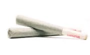 Flora Terra - White Cherry Gelato 7pk