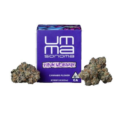 Umma Sonoma - Pink Lobster 3.5g