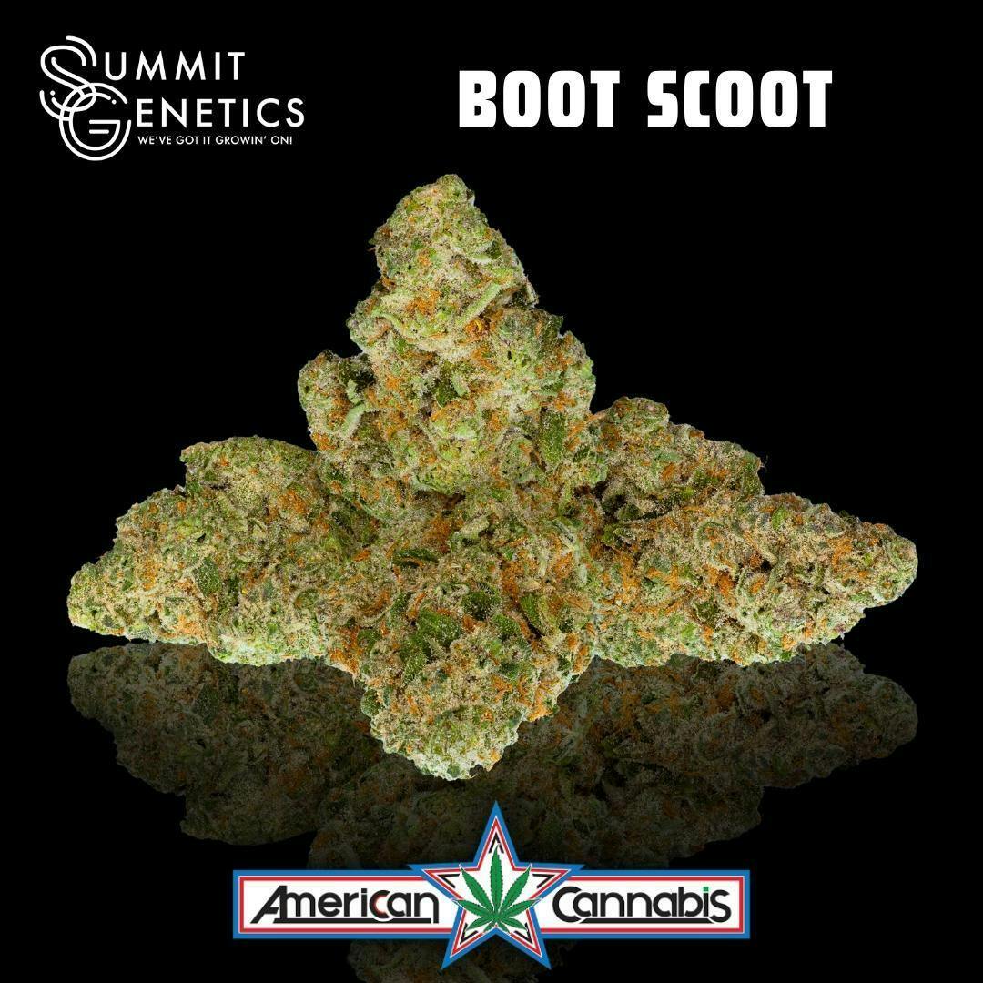 [Flower] Summit Genetics Boot Scoot 3.5g [Indica]