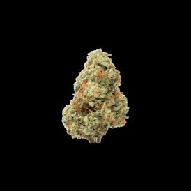 CANDELA | GMO CRASHER | HYBRID | DELI-FLOWER | REC