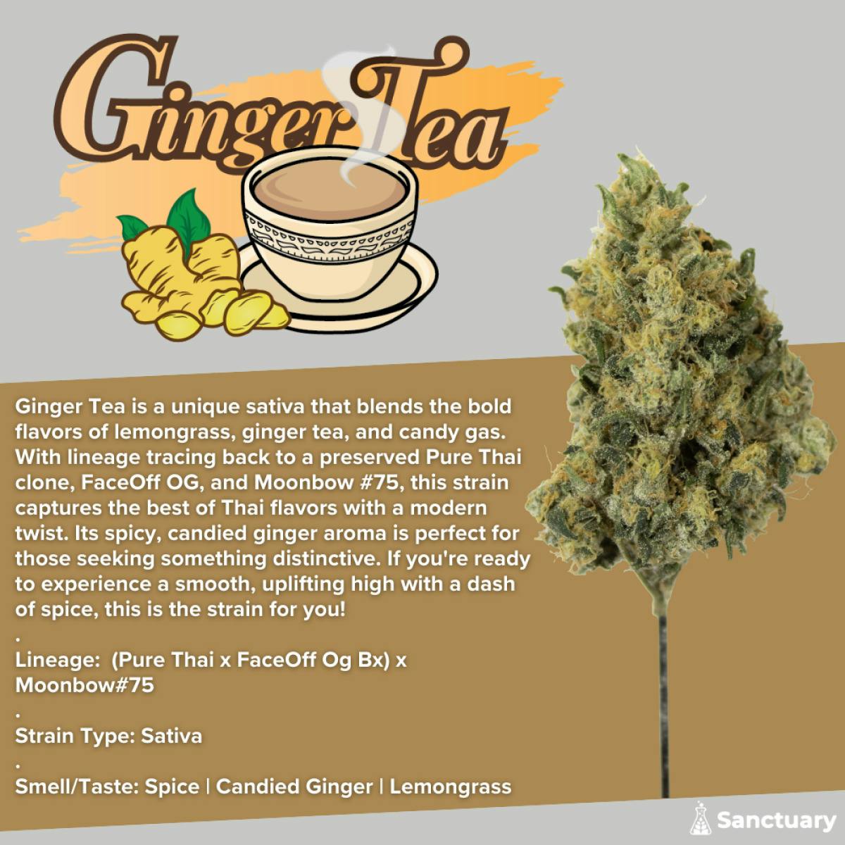 Ginger Tea (S) (28g)