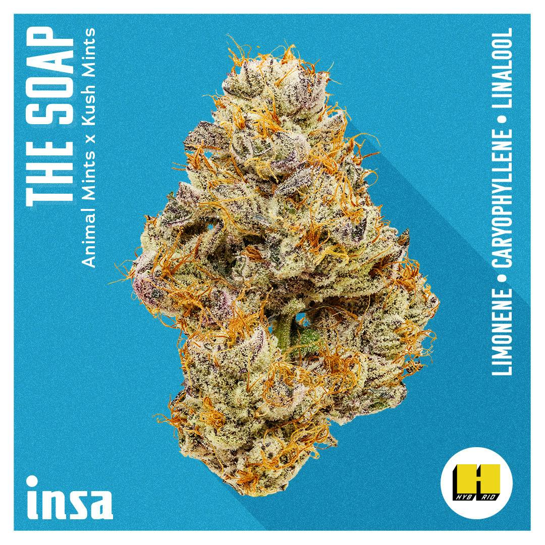 The Soap (SH) (14g)