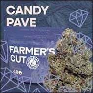 Candy Pave (IH) (14g)