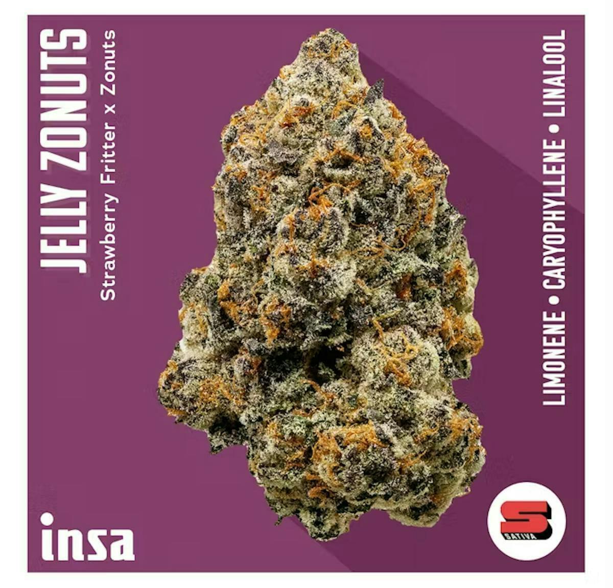 Jelly Zonuts (H) (14g)