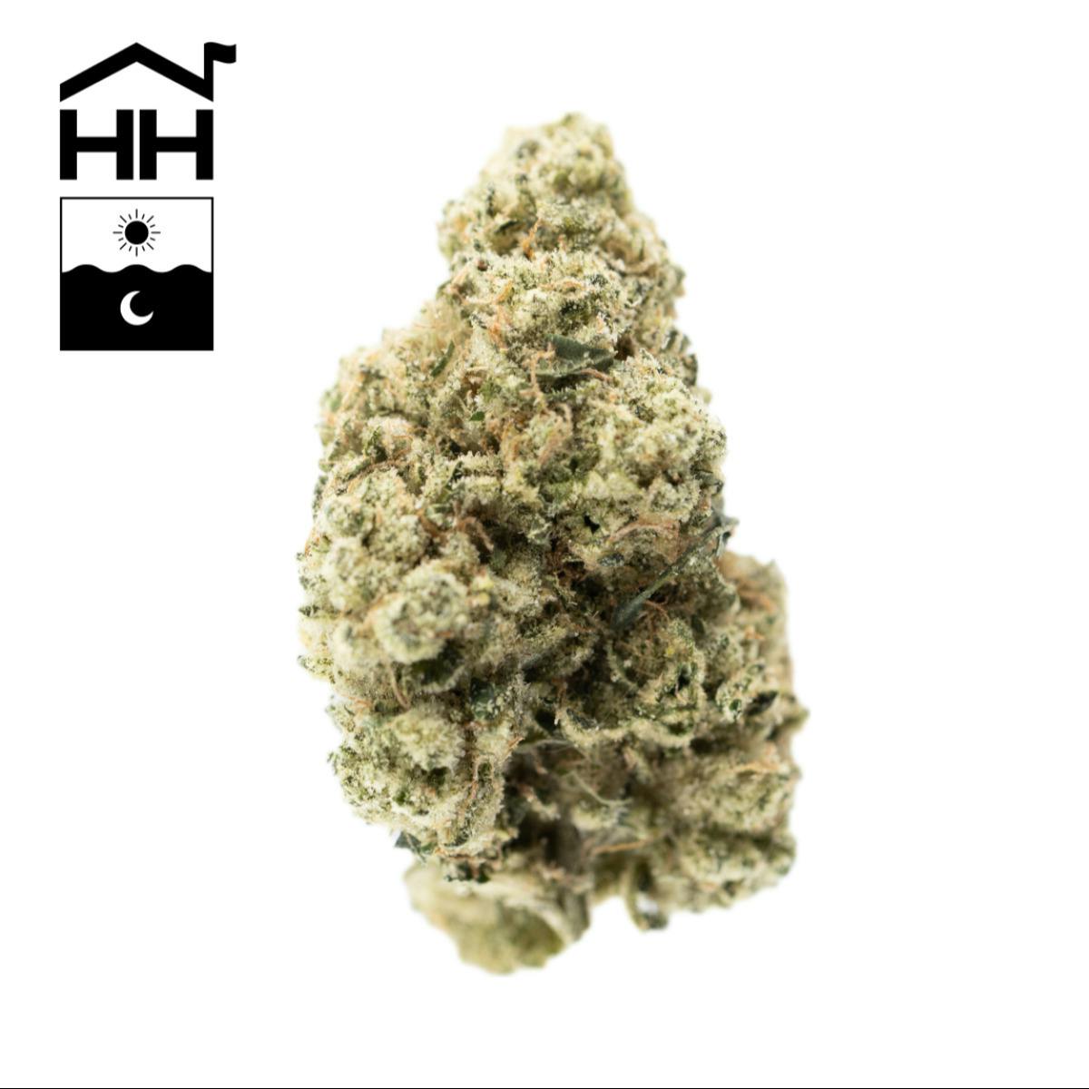 TKO (IH) (3.5g)