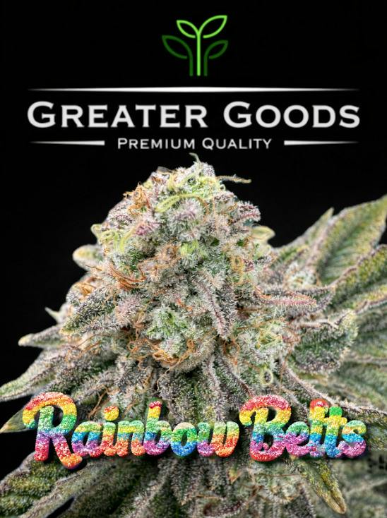 Rainbow Belts (IH) (14g)