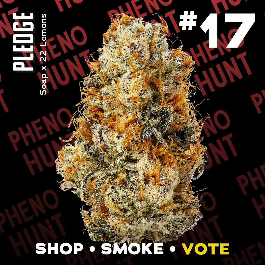 Pledge #17 (S) (3.5g)