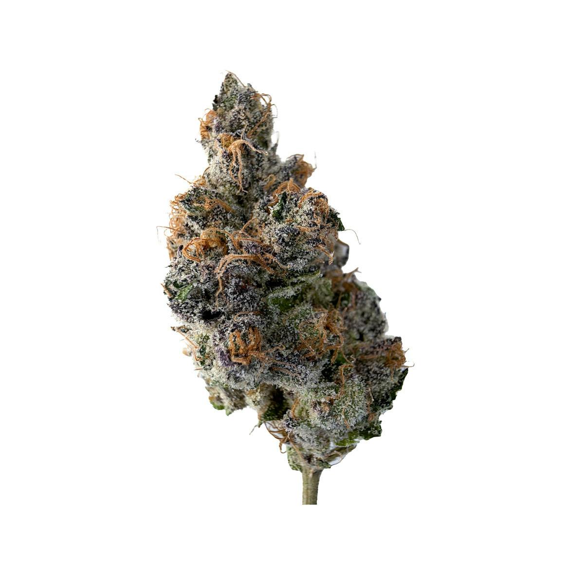 Skkrt Berry Zuava (H) (3.5g)
